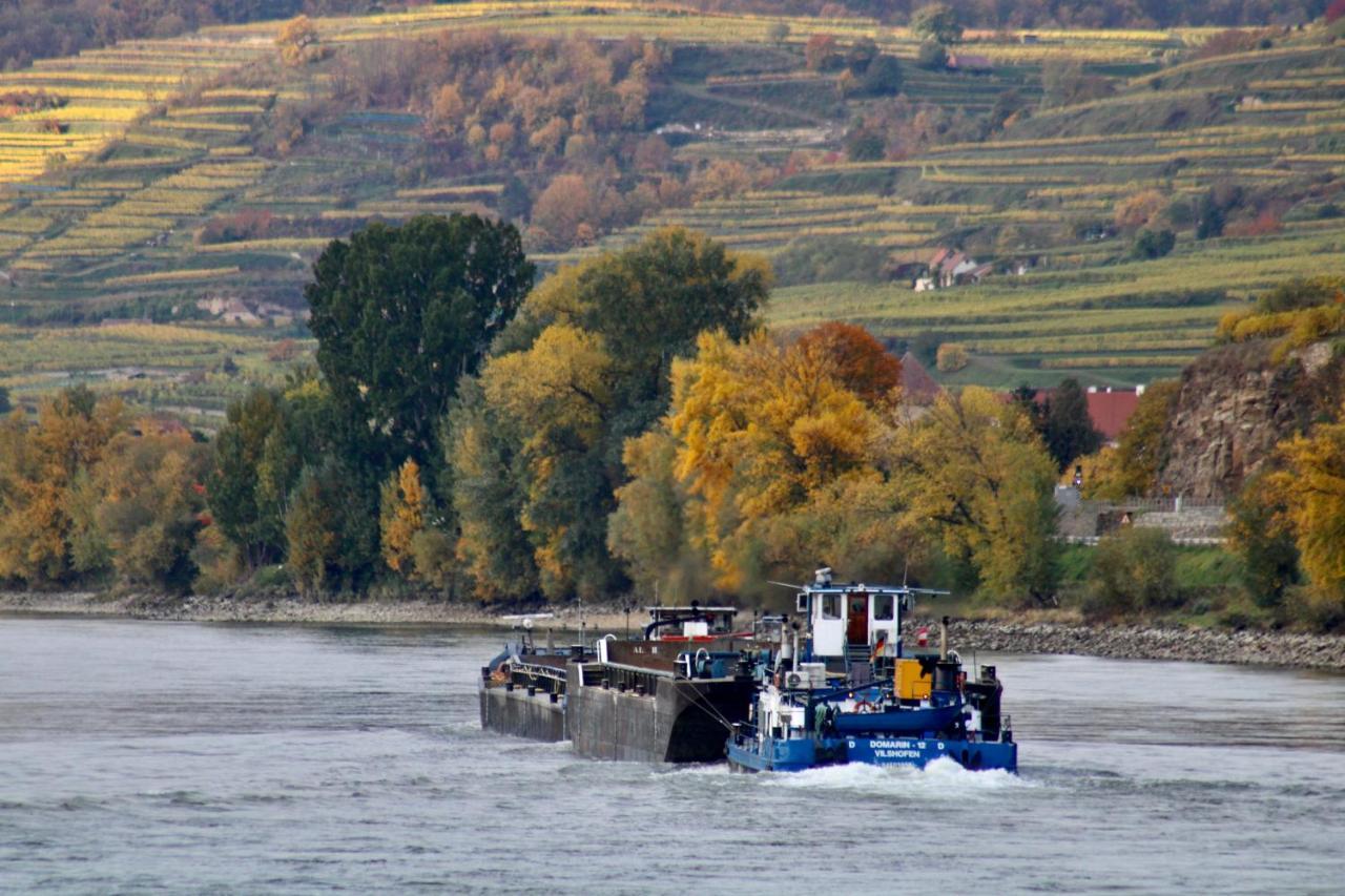 Haus-Donau In Der Wachau Apartment Aggsbach Ngoại thất bức ảnh