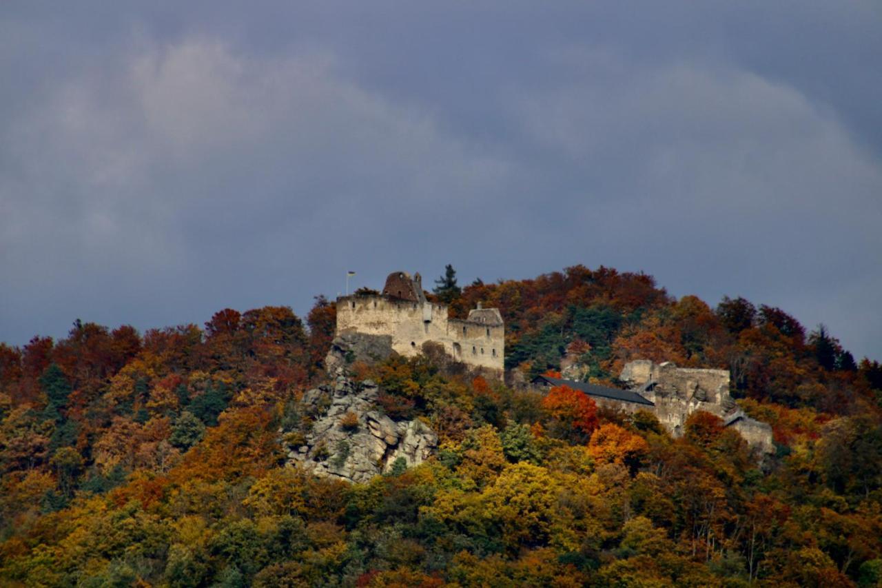 Haus-Donau In Der Wachau Apartment Aggsbach Ngoại thất bức ảnh